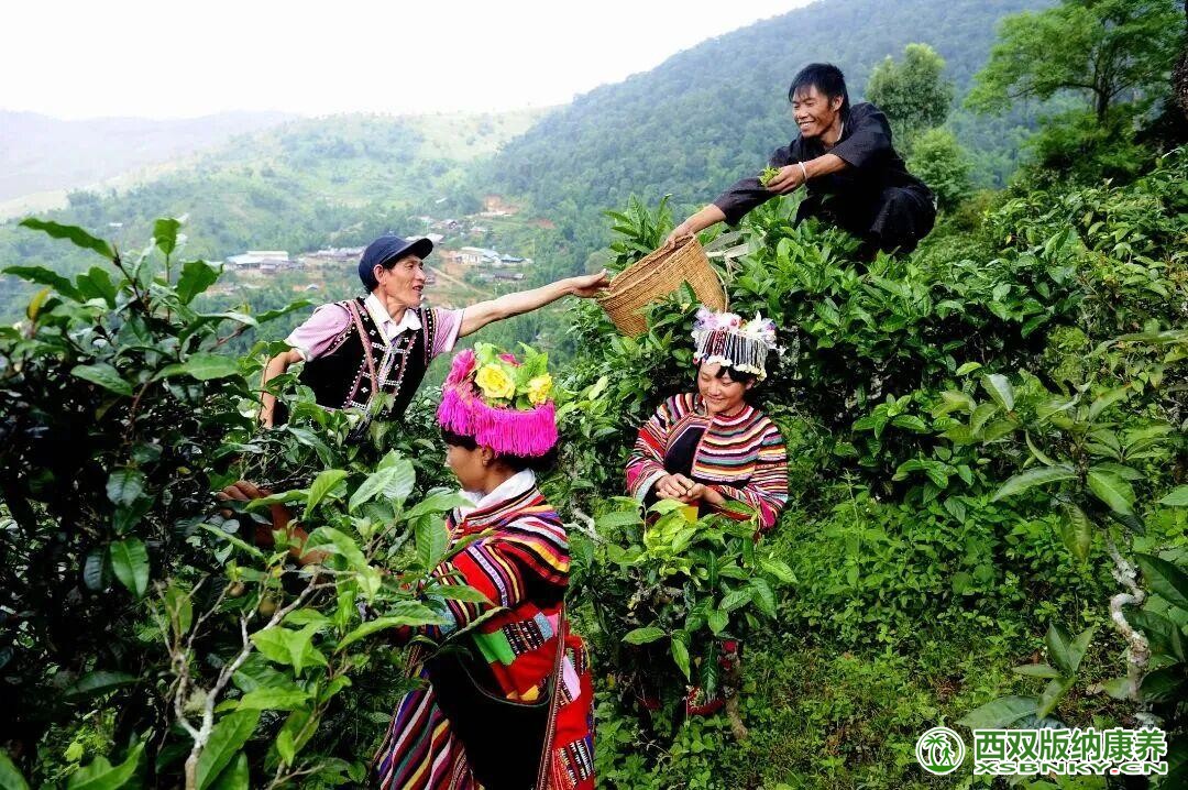 图片关键词 图片关键词