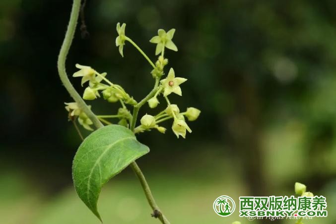 图片关键词