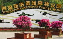 西双版纳原始森林公园景区