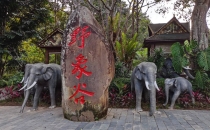 西双版纳野象谷风景区