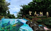 西双版纳望天树景区