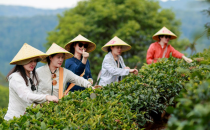 栖居&ldquo;地球绿肺&rdquo;，西双版纳打造&ldquo;世界级雨林旅居目的地&rdquo;