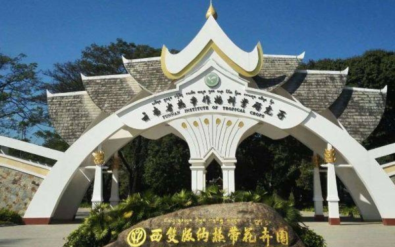 云南西双版纳热带花卉园景区