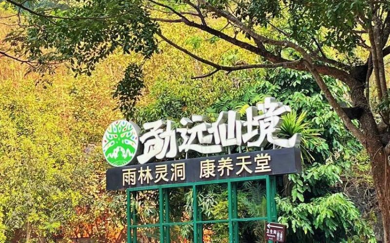 西双版纳热带雨林国家公园勐远仙境景区
